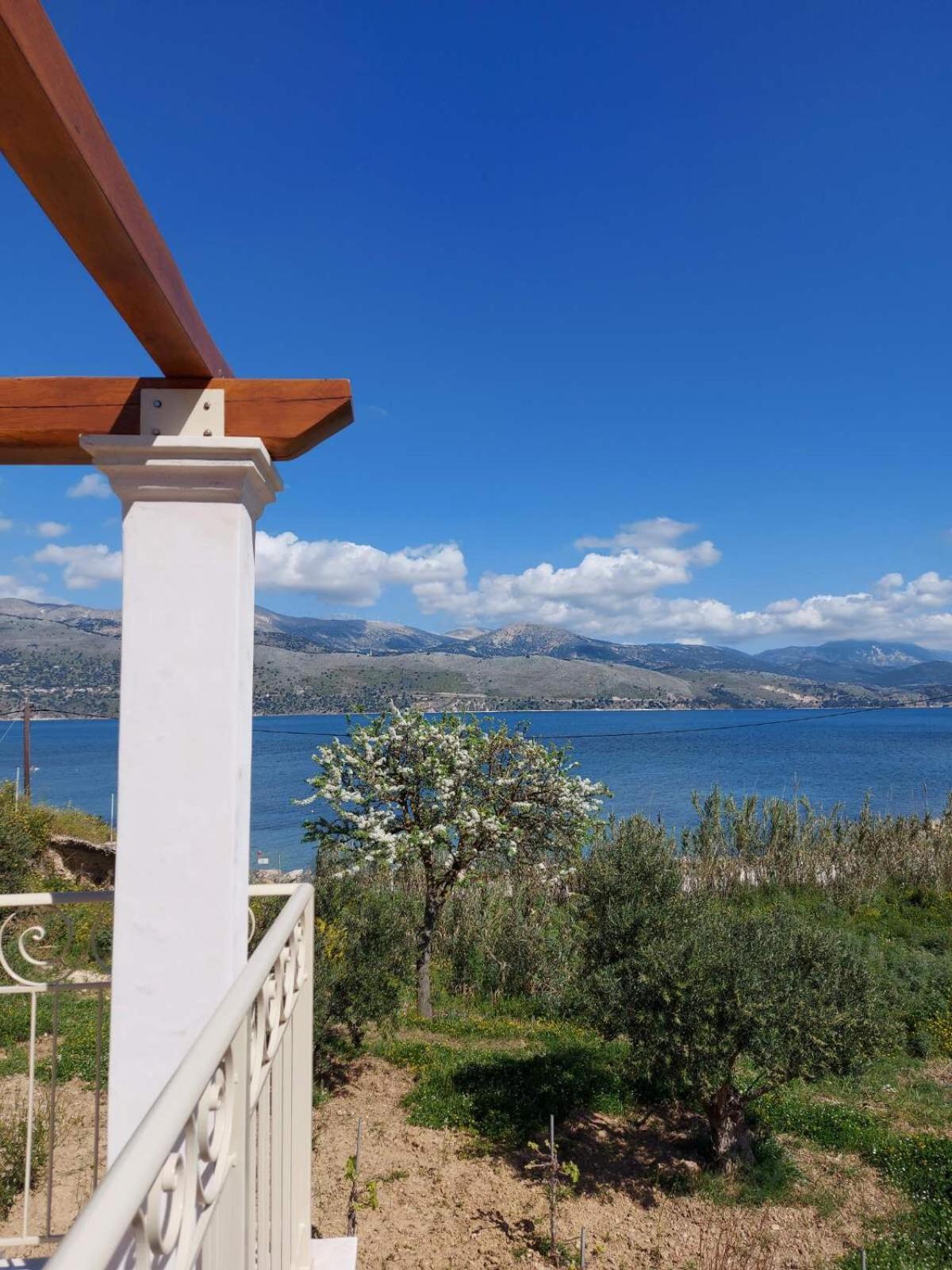Apollonides Seafront Villa1 Aoede Lixouri Luaran gambar